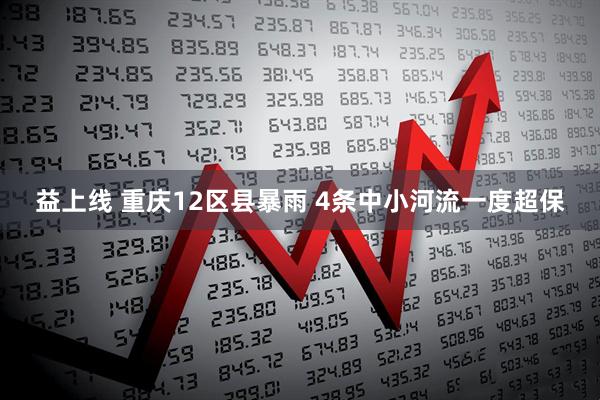 益上线 重庆12区县暴雨 4条中小河流一度超保