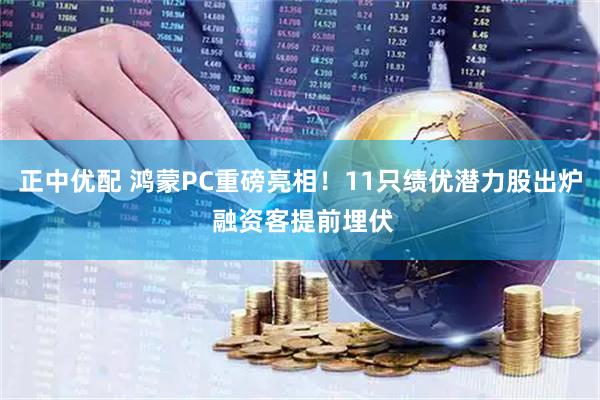 正中优配 鸿蒙PC重磅亮相！11只绩优潜力股出炉 融资客提前埋伏