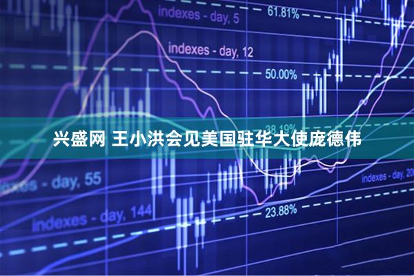 兴盛网 王小洪会见美国驻华大使庞德伟