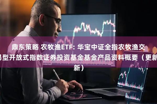 鼎东策略 农牧渔ETF: 华宝中证全指农牧渔交易型开放式指数证券投资基金基金产品资料概要（更新）