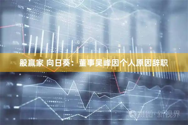 股赢家 向日葵：董事吴峰因个人原因辞职