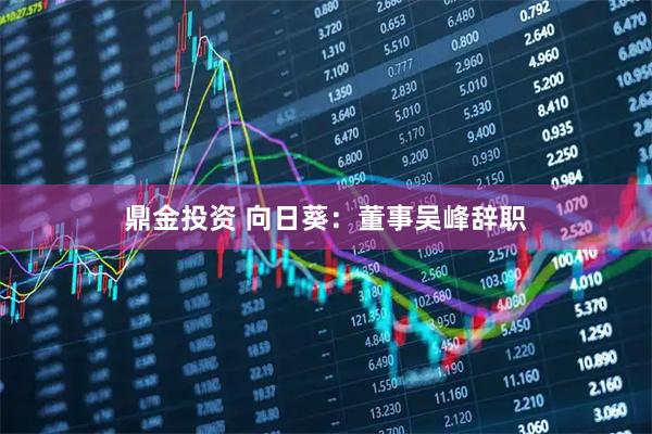 鼎金投资 向日葵：董事吴峰辞职