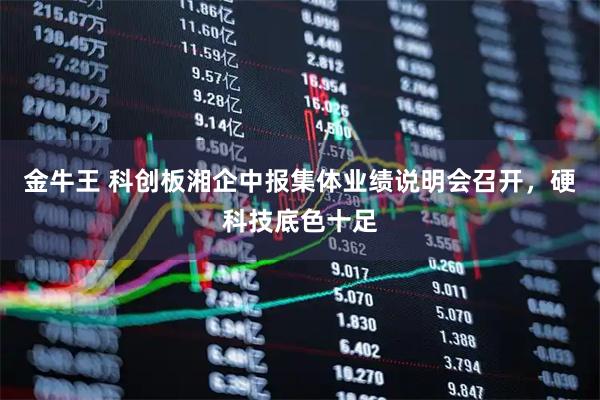 金牛王 科创板湘企中报集体业绩说明会召开，硬科技底色十足